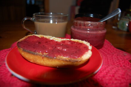Medík s černým rybízem 250g